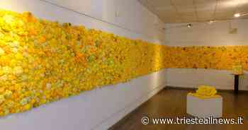 Un “muro” di rose gialle a Trieste per far conoscere l'endometriosi - Trieste News
