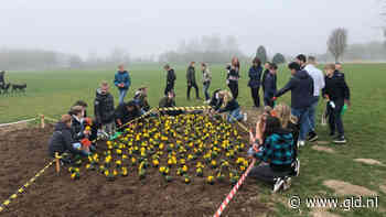 Groot geel-blauw hart van viooltjes voor Oekraïners - Omroep Gelderland