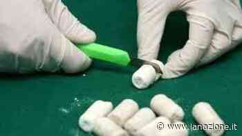 Prato, droga: sequestrato un chilo di ketamina, valore 60mila euro. Un arresto - LA NAZIONE