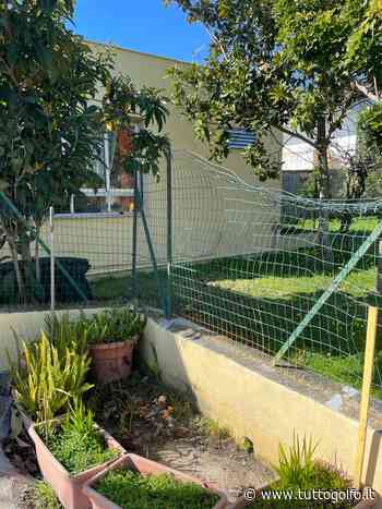 Minturno: Fratelli d'Italia chiede maggiore attenzione e decoro per le scuole dell'Infanzia e Primaria » Tuttogolfo - Tutto Golfo