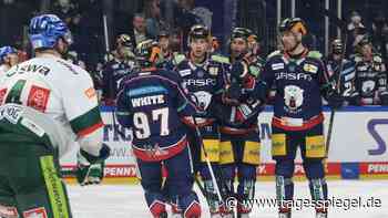 Die Eisbären Berlin in der Saison 2021/2022 : Heimsieg gegen Augsburg und Platz eins nach der Hauptrunde - Tagesspiegel
