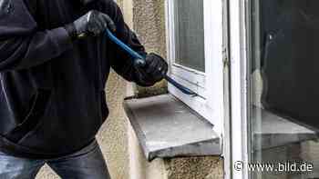 Kleine Kinder nach Einbruchsversuch in Meerbusch gefasst | Regional - BILD
