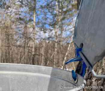 COMMUNITY SPOTLIGHT: Maple Weekend event returns to the Ottawa Valley on Saturday and Sunday - renfrewtoday.ca