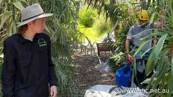 What do young Australians worry about? Too much, it seems