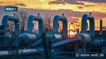 Wenn Putin Deutschland das Gas abdreht – das sollten Sie jetzt wissen