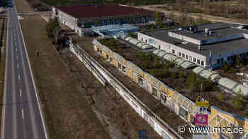 Immobilen in der Uckermark: Schwedt hat das teuerste Bauland in Brandenburg – aber dort darf gar nicht gebaut werden - Märkische Onlinezeitung