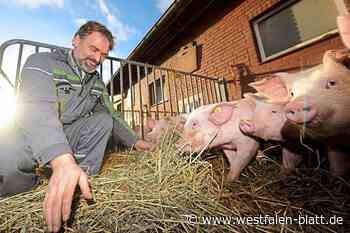 Der Kreis Minden-Lübbecke ist Modellregion - Westfalen-Blatt