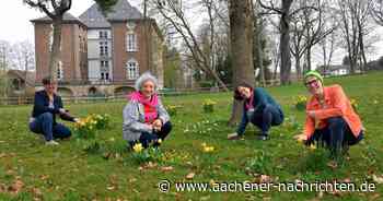 Für die Artenvielfalt: Aktionstag wirbt für blühende Gärten