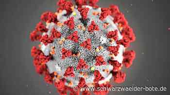 Corona im Kreis Calw - Es geht wieder abwärts - Schwarzwälder Bote