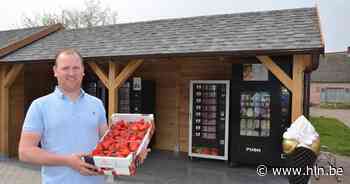 Familie Vervaet trekt aardbeiseizoen op gang - Het Laatste Nieuws