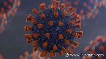 After Omicron+Delta recombinant, 2 more hybrid Covid strains found; Expert explains how fatal they can be. - Mint