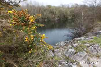 Grand Dax : trois idées de sortie nature à Angoumé - Sud Ouest