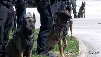 'We miss him': K-9 Officer Dash honored at Shepherdsville funeral - WAVE 3