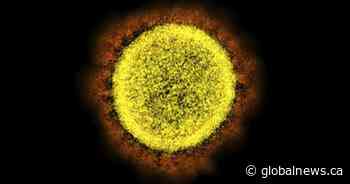 COVID-19: BA.2 Omicron variant now dominant in three Saskatchewan cities’ wastewater - Global News