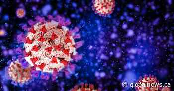 Living with COVID-19 means being vigilant, Saskatchewan researcher says | Globalnews.ca - Global News