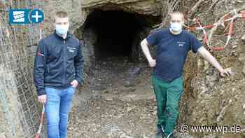 Netphen: Walperdorfer Stollen wird Quartier für Fledermäuse - WP News
