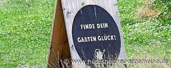 Gärtnern in Hildesheim – mit neuen Projekten und alten Pflanzensorten - www.hildesheimer-allgemeine.de