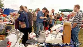 Großflohmarkt im Allerpark in Wolfsburg am 10. April