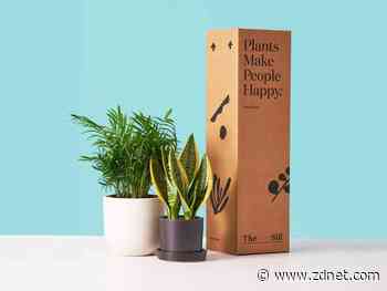 Best plant subscription 2022: Get new plants delivered