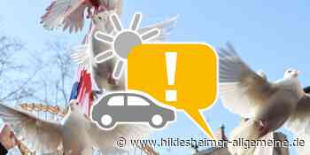 Das wird heute in Hildesheim wichtig: Friedenstag, neue Firma, Wasser-Sommelier - www.hildesheimer-allgemeine.de