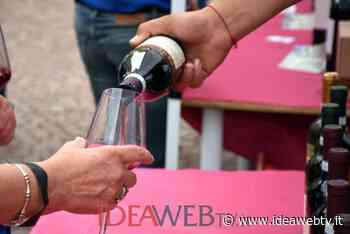 Coldiretti Cuneo: “A rischio spumanti e vini italiani in Russia” - IdeaWebTv
