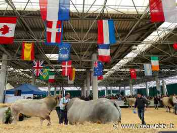 Stati Generali della Razza Piemontese: 2-3 aprile a Cuneo - IdeaWebTv