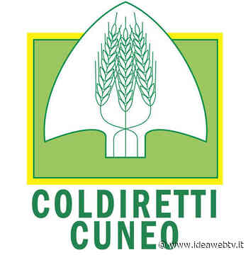 Peste Suina, Coldiretti Cuneo: è urgente partire con fase operativa - IdeaWebTv