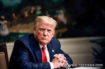 Trump asks Putin to release any info about Hunter Biden