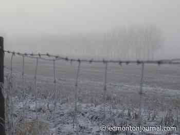 Edmonton weather: What little snow is left should melt today