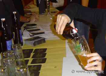 Un corso a Chieri per imparare a degustare le birre artigianali - ZipNews