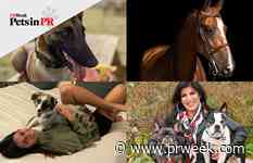 Maggie, Bunny, Harley or Chainsaw and Michelin: Which Pets in PR story won your heart?