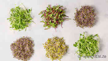 Sprossen: 3 Sorten, von denen Sie mehr essen sollten - Vital