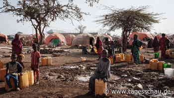 Dürre in Somalia: Kein Essen, kein Wasser, keine Medizin - tagesschau.de
