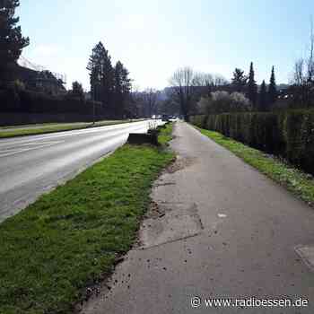 Bäume: In diesen Stadtteilen müssen Gefahr-Bäume weg - Radio Essen