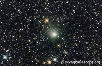 Comets to View in 2022