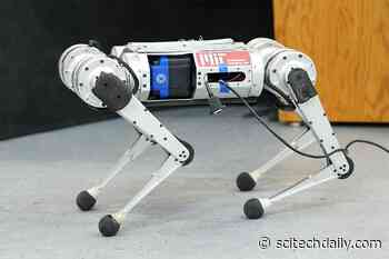 How the MIT Mini Cheetah Robot Learns To Run Entirely by Trial and Error