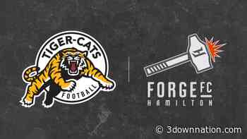 Hamilton Sports Group finalizes new ownership structure - 3downnation.com