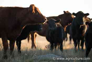 If you sell direct-to-consumer check out Value Added Producer Grants - Successful Farming