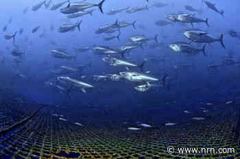 Ocean-Raised: A New Era of Sustainable Seafood