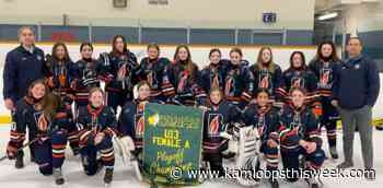 Kamloops wins bronze on home ice at female under-13 B.C. Hockey Championship - Kamloops This Week