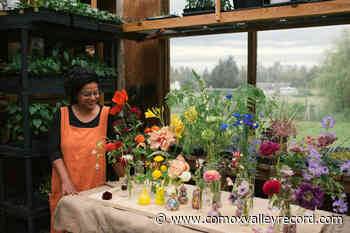 Floral farm blooms with creativity, science and community - Comox Valley Record
