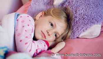 Frontignan : Allez au nid par la compagnie KD danse à la médiathèque - Hérault Tribune