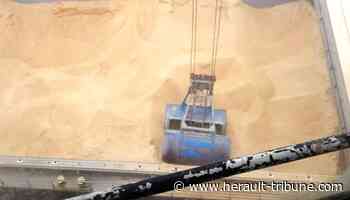 Port de Sète-Frontignan : mesures incitatives pour l'importation de tourteaux non OGM - Hérault Tribune