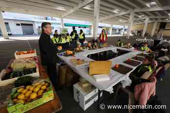 Au MIN de Nice, on réconcilie les enfants avec les fruits et légumes