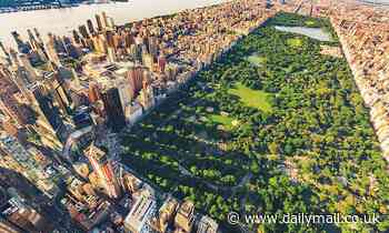 Green spaces in urban areas give a significant happiness boost, study finds