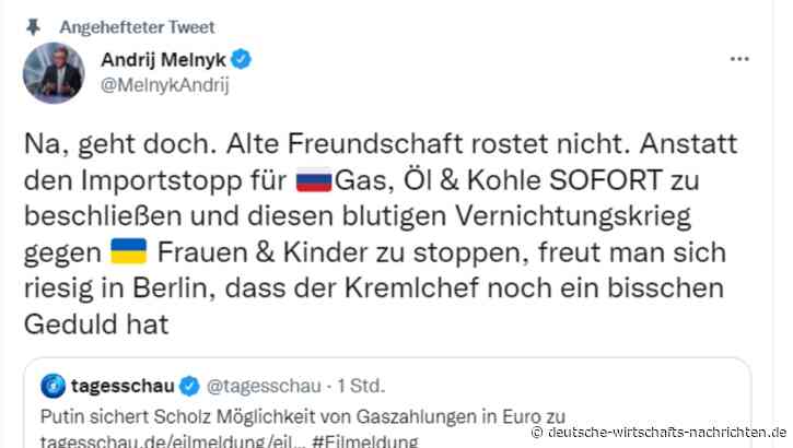 Ukrainischer Botschafter attackiert erneut Bundesregierung, fordert „SOFORT“ Import-Stopp für russisches Gas und Öl