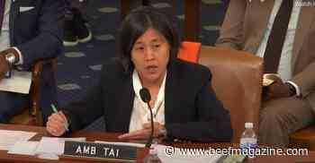 Tai defends Biden’s trade agenda