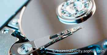 World Backup Day: 5 data recovery tips for everyone!