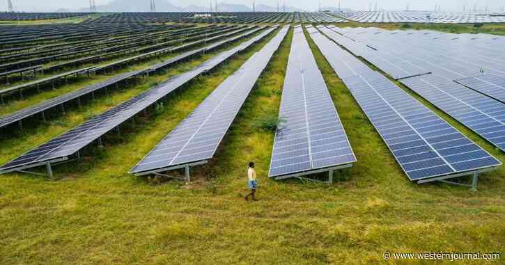 Op-Ed: The Rich Are Taking the Poor to the Cleaners on 'Green' Energy in Countries That Can Least Afford It