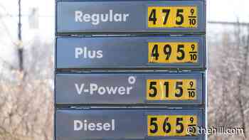 4 in 10 Americans blame Biden administration policies for gas prices:poll